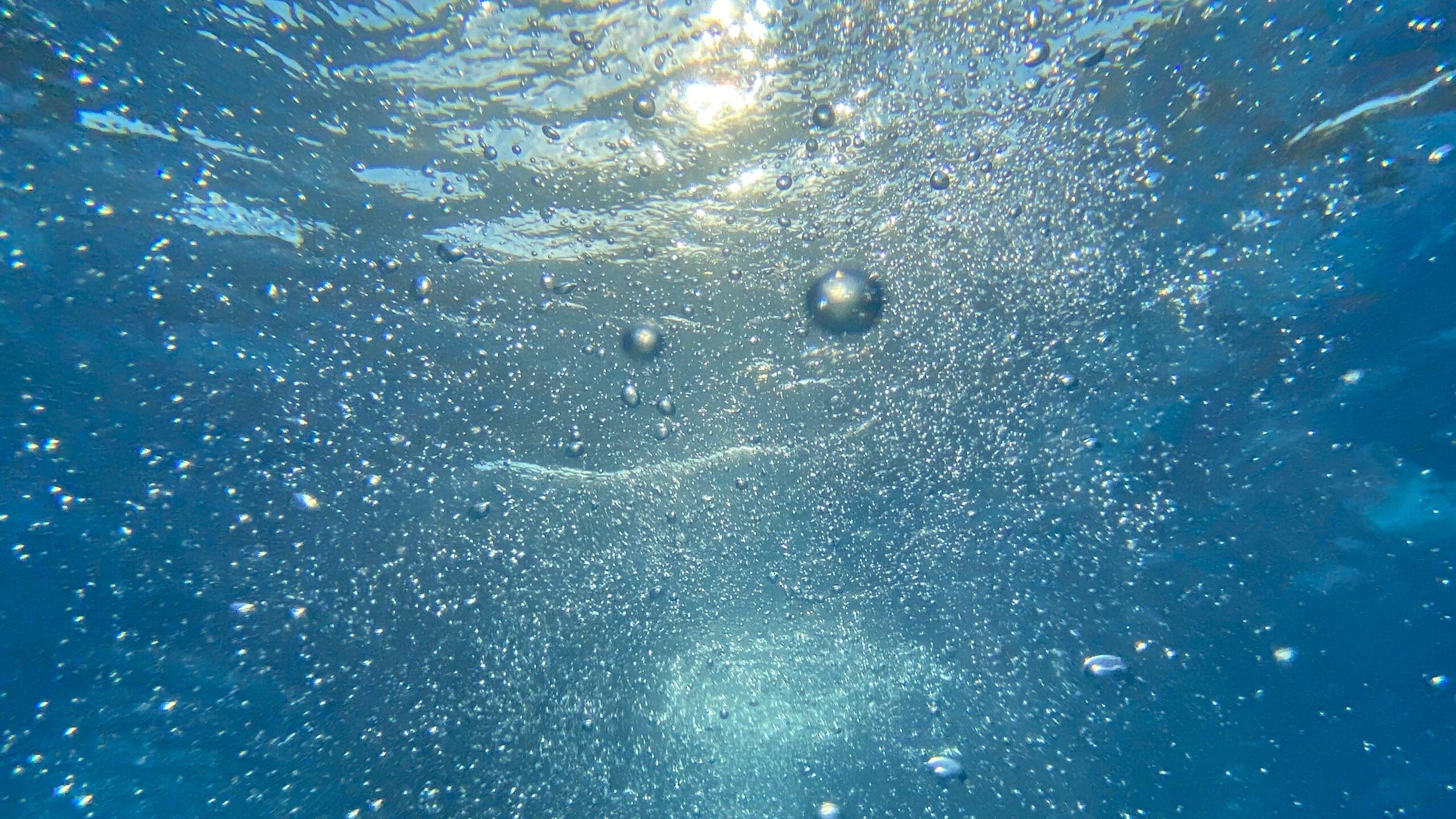 Sterck pools